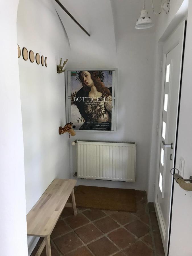 Ferienwohnungen Tinymoon Feldbach  Exterior foto